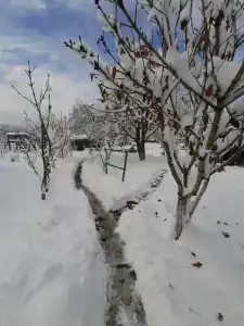 Ширванкаlife - 4
