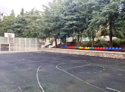 Кипарис - 39