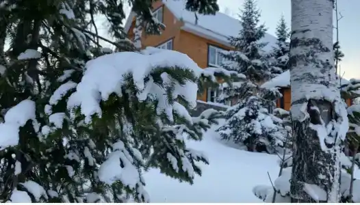 Сердце Сибири - 50