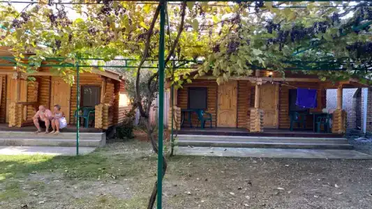 Амарант - 18