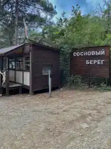 Сосновый берег - 19