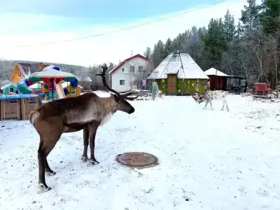 Каравелла - 28