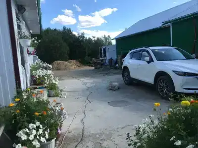 Екатерина - 0