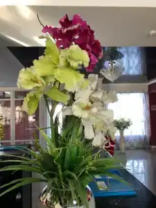 Виктория - 4