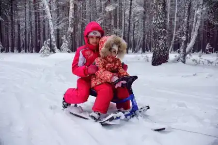 Хвойный - 43