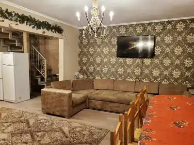 Гости в бору - 33