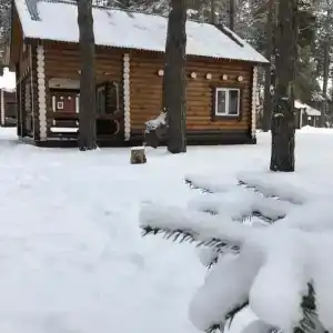 Олимп - 89