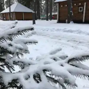 Олимп - 63