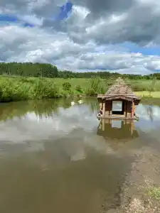 Изумрудный лес - 1