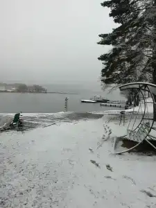 Зелёная роща - 43