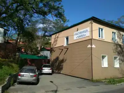Чайка - 1
