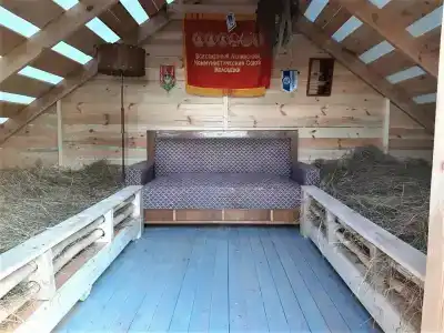 Панковский закуток - 12