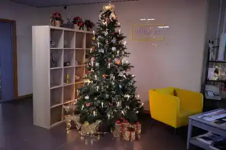 Стандарт - 24