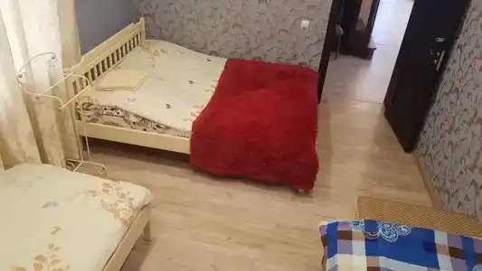 Каролина - 21