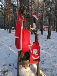 Домик в лесу - 27