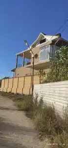 Дельфин - 2