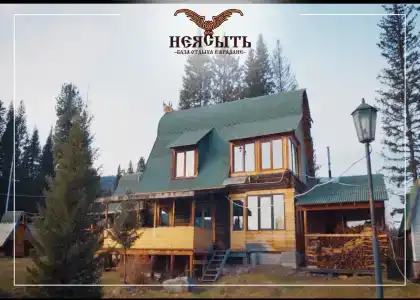 Неясыть - 12