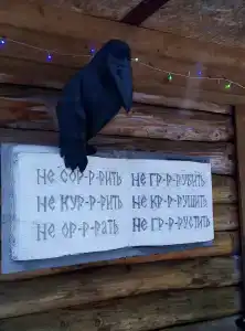Живица - 44