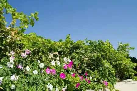 Уютный уголок Тарханкута - 2