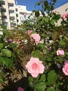 Туапсе - 48