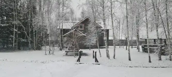 Подмосковный домик - 87