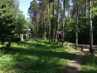 Лесовичок - 15