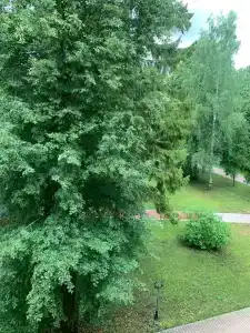 Пестово - 59
