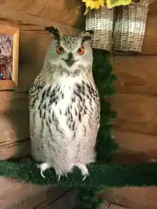 Северный Склон - 21