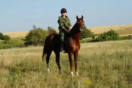 Бояринцево - 15