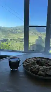 Пение птиц - 42