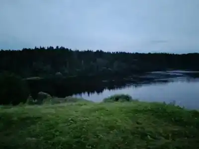 Маркомусы - 78