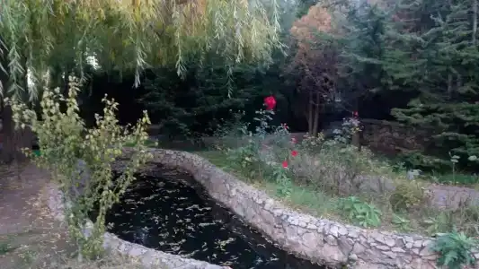 Качинская - 76