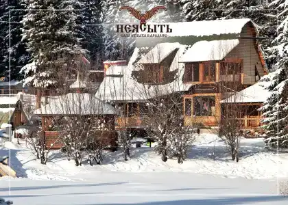 Неясыть - 1