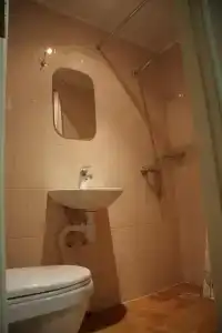 Лососинская - 52