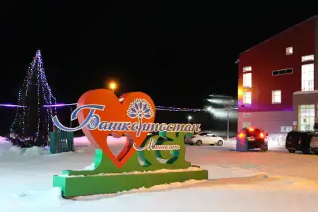 МАУ ФОК Триумф в Мишкино - 2