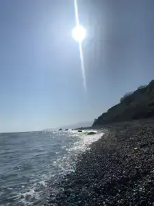 Грифон - 49