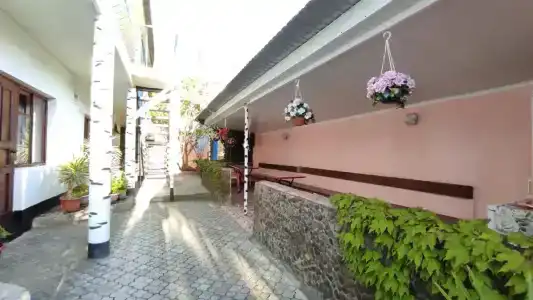 Green Patio - 9