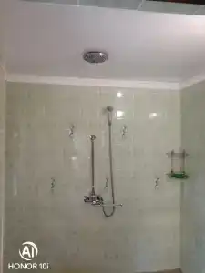 Тюльпан - 33