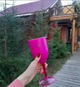 Стрижи - 4