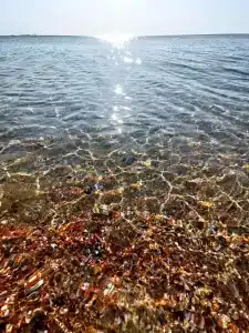 Black Sea - 1