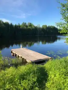 Шальский домик - 1