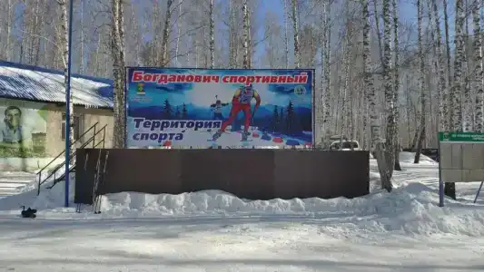 Берёзка - 8