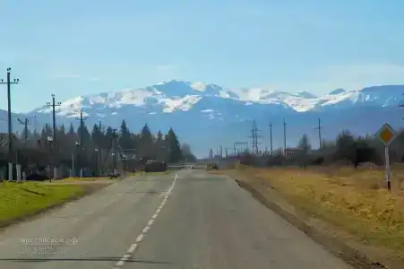 Вишневый сад - 10