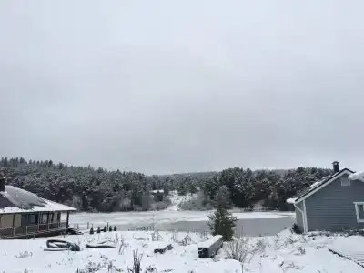 Тарулинна - 14