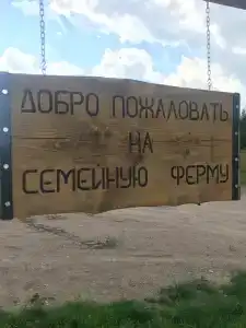 12 Дубов - 7