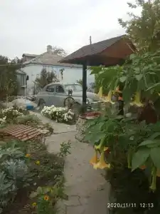 Страна Отдыха - 5