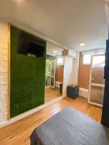 GreenWall - 4