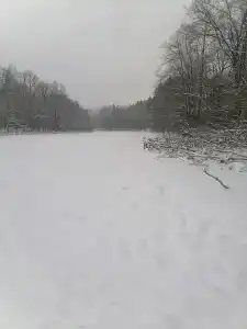 Улыбышево - 89