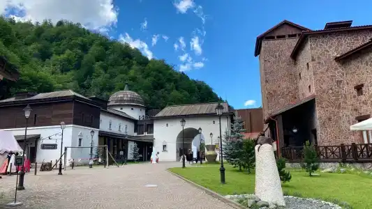 Голден Тюлип - 38