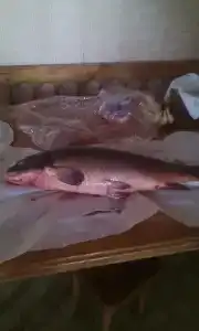 База Партизан на хуторе Громов - 16
